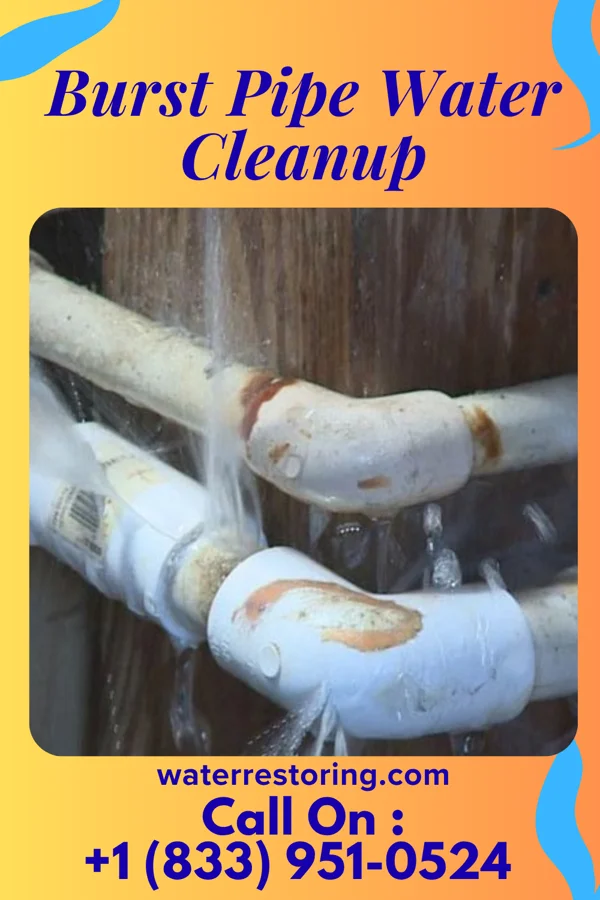 Burst Pipe Water Cleanup in Glenwood City, WI