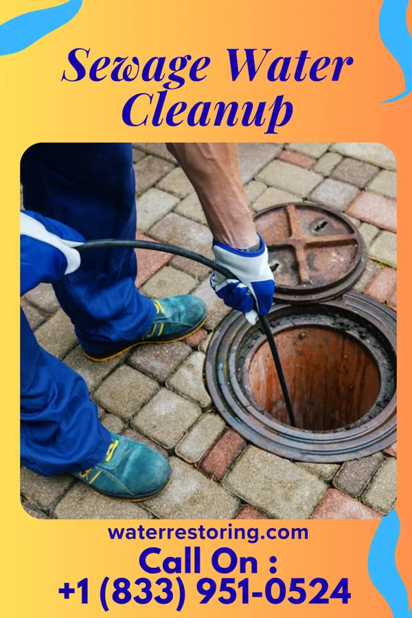 Sewage Water Cleanup in Glenwood City, WI